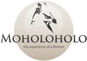 A logo for mohololo the experience of a lifetime