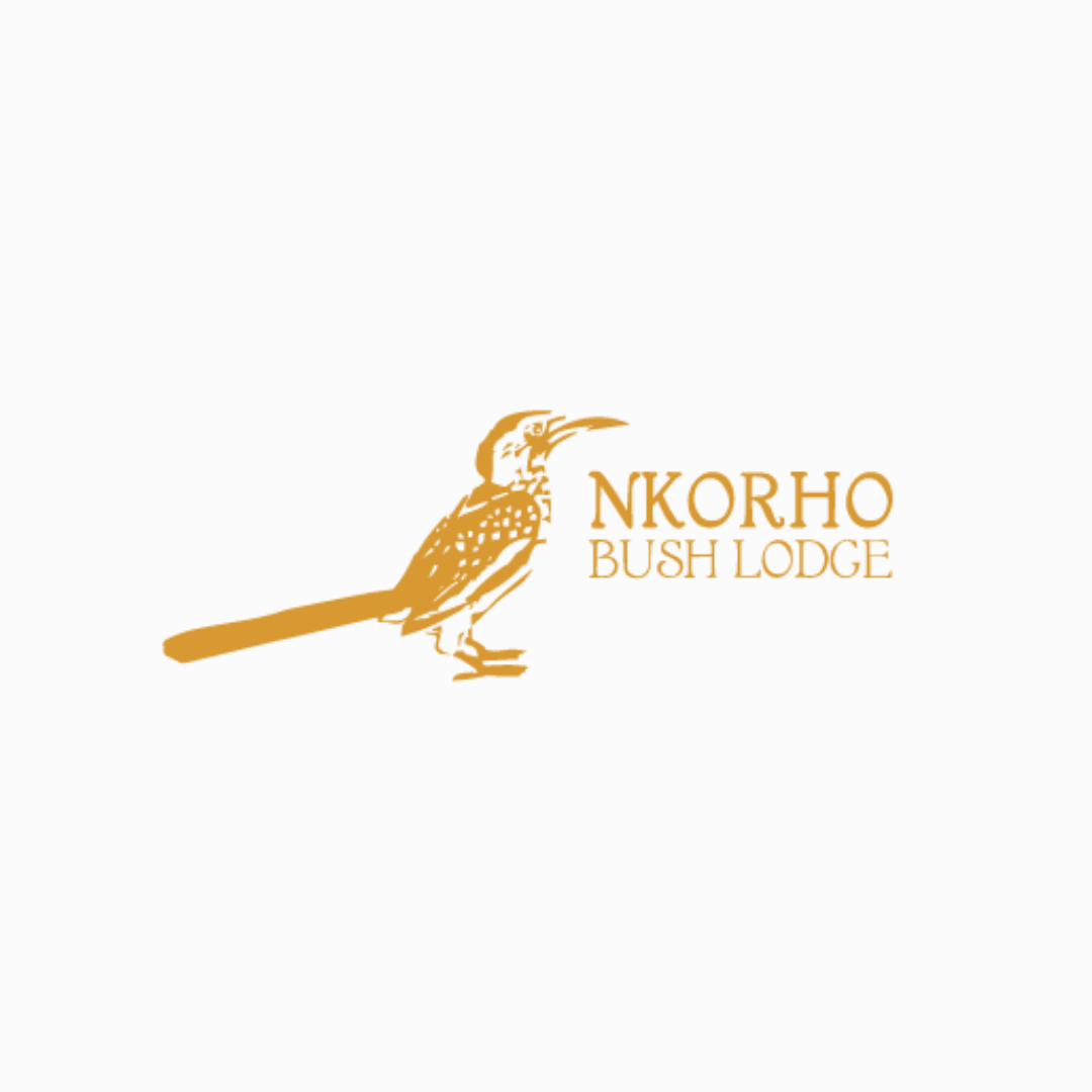 A logo for nkorho bush lodge with a bird on it