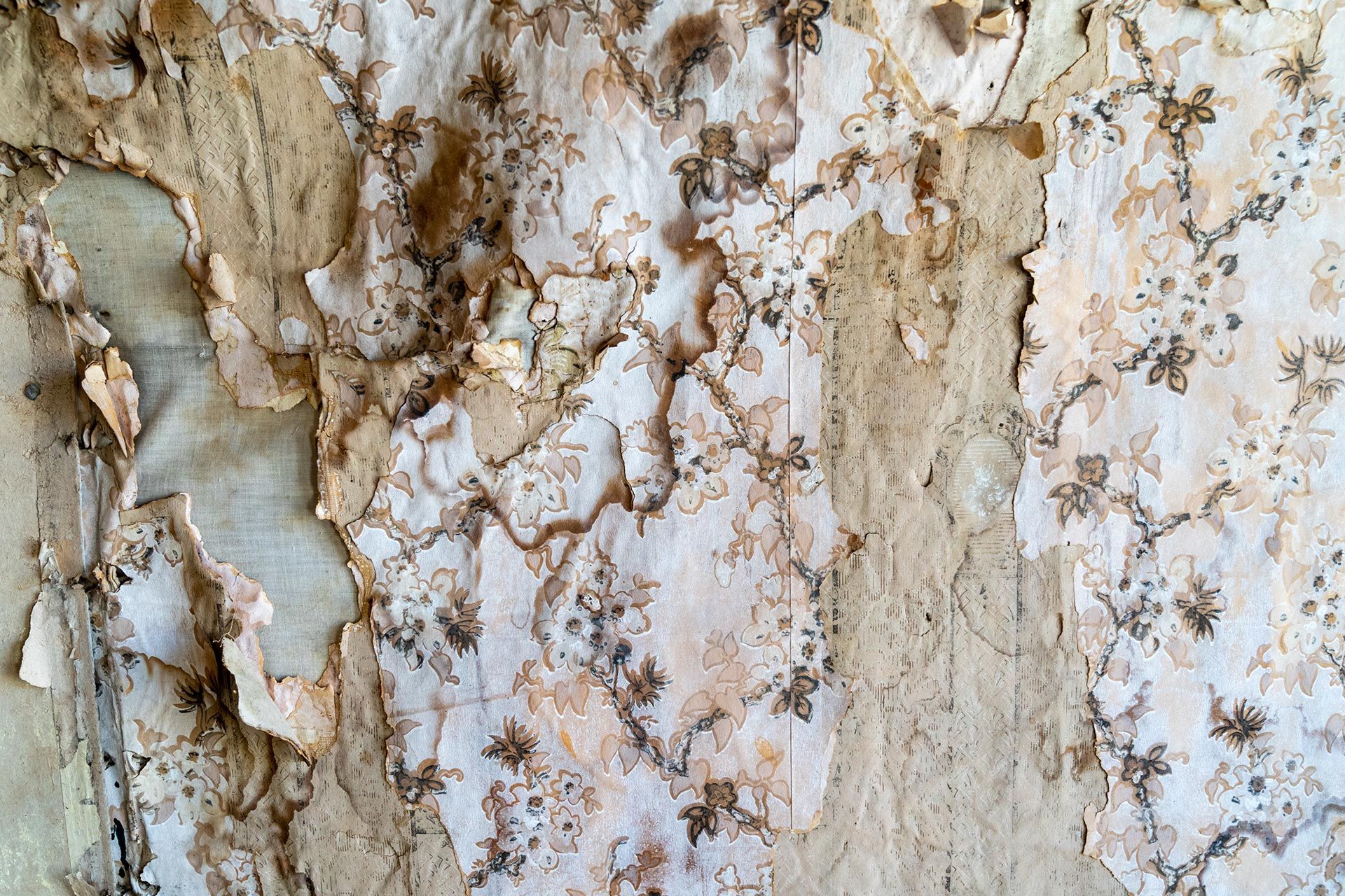 A water-damaged wall.
