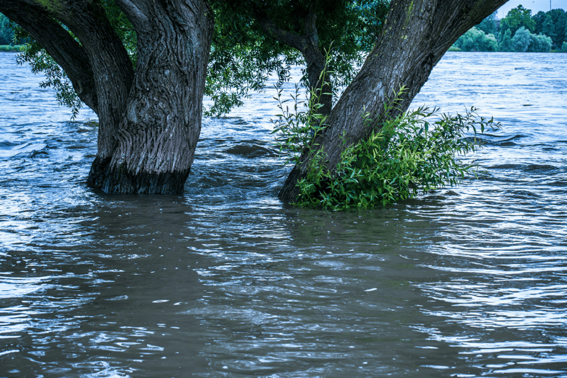 IRS Warns Of Scams Related To Natural Disasters