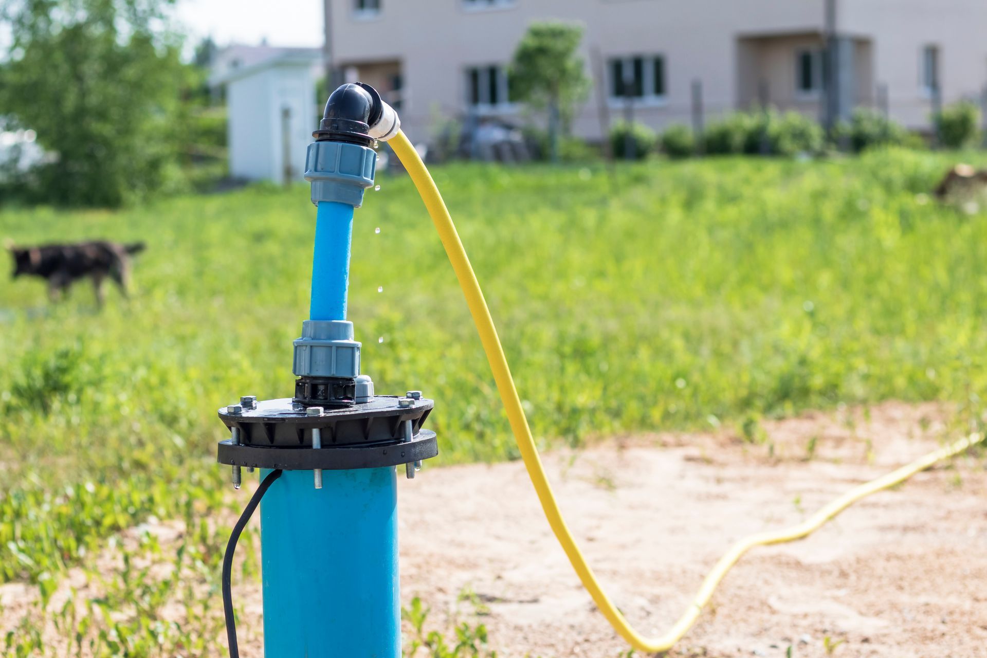 Blue well casing with attached black and grey hardware, yellow hose, and a dog in a grassy yard.