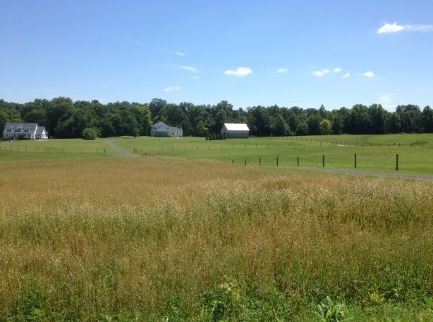 Farmington Township