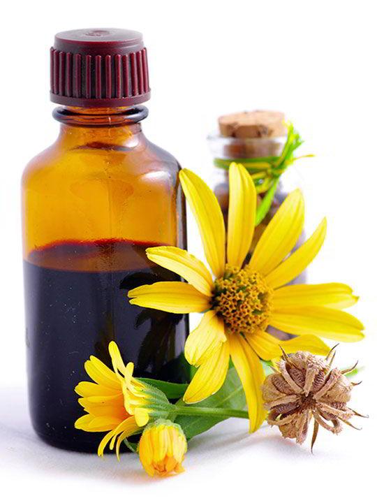 BACH FLORAL'S - Catálogo de extracto de flores de Bach