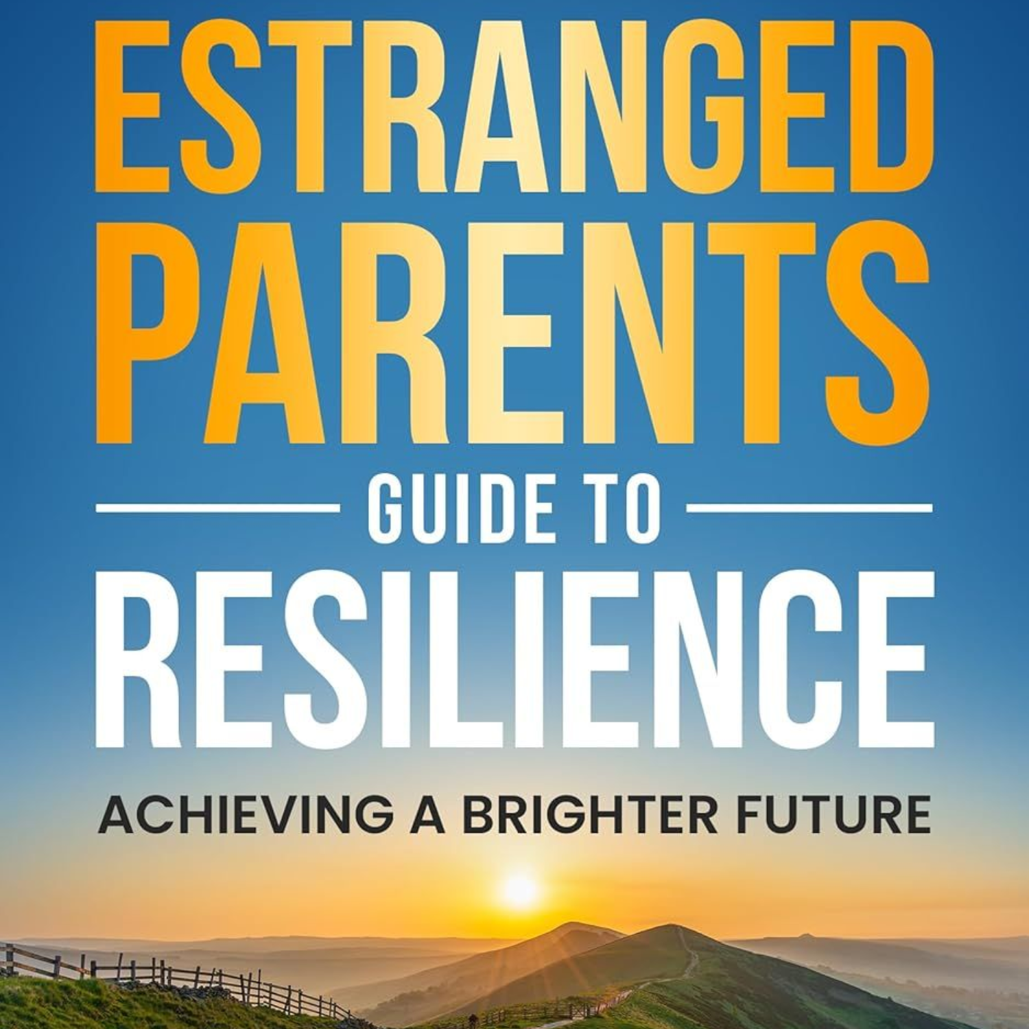 Book cover: