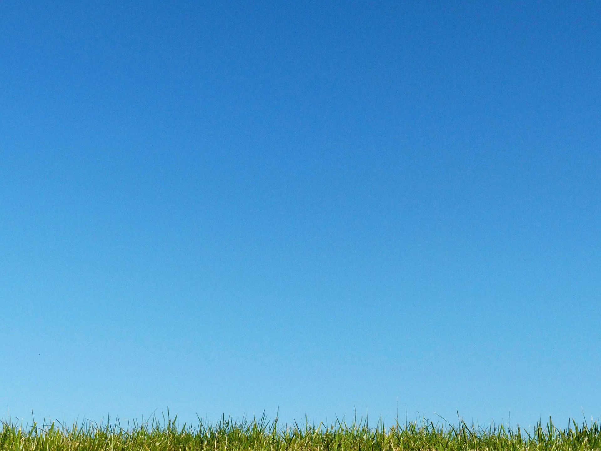 Blue sky above a grassy field with a few small white flowers along the bottom edge