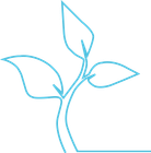 cctv icon