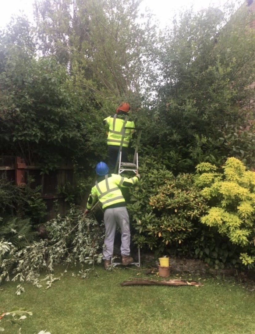 garden clearance services