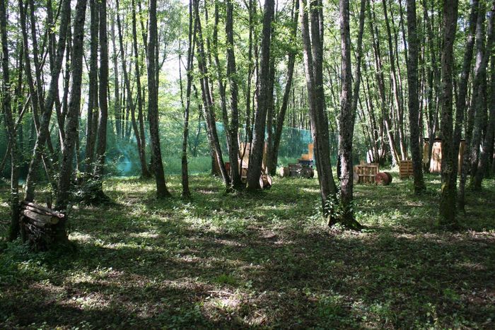 Terrain de paintball en pleine nature avec obstacles en bois et filets de sécurité pour des parties en extérieur.
