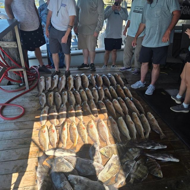 Catch of fish laid out on a dock, with several people standing nearby.