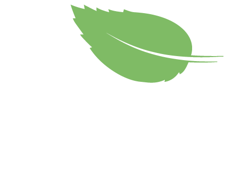 Green leaf logo with two overlapping leaves on a white background