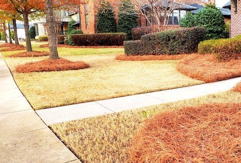 lake wilborn lawn care