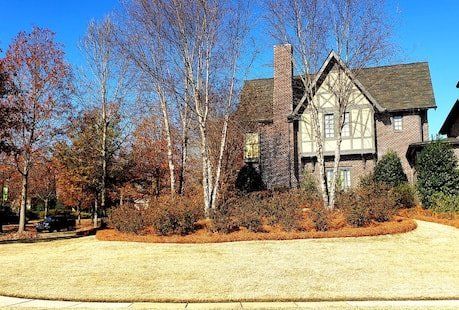 lawn maintenance lake wilborn
