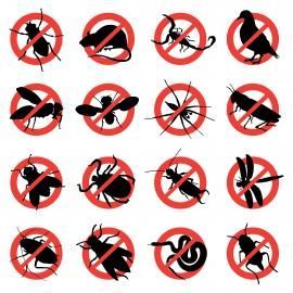Red prohibition symbols over various black insect silhouettes in a grid on a white background