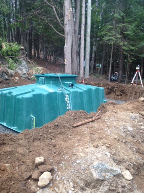 Green septic tank installed in a dirt excavation, surrounded by trees.