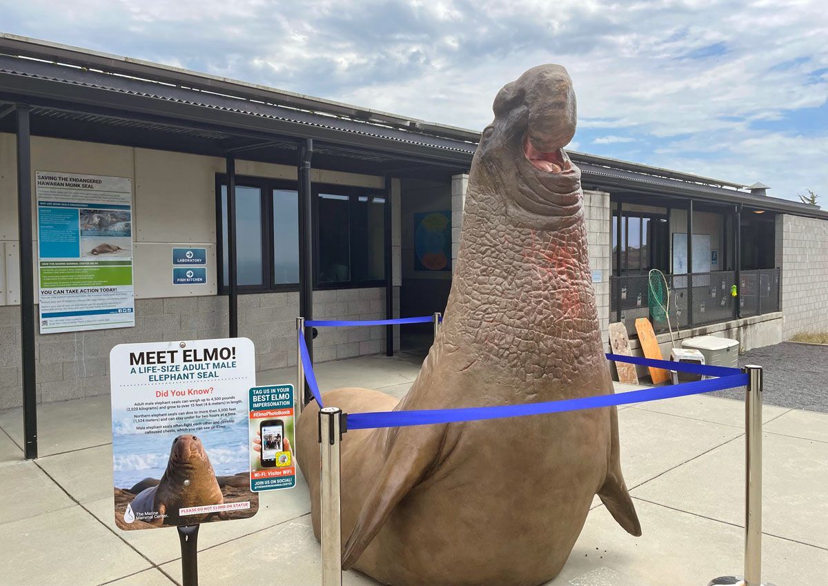 Large walrus statue behind blue ropes outside a visitor center under a cloudy sky