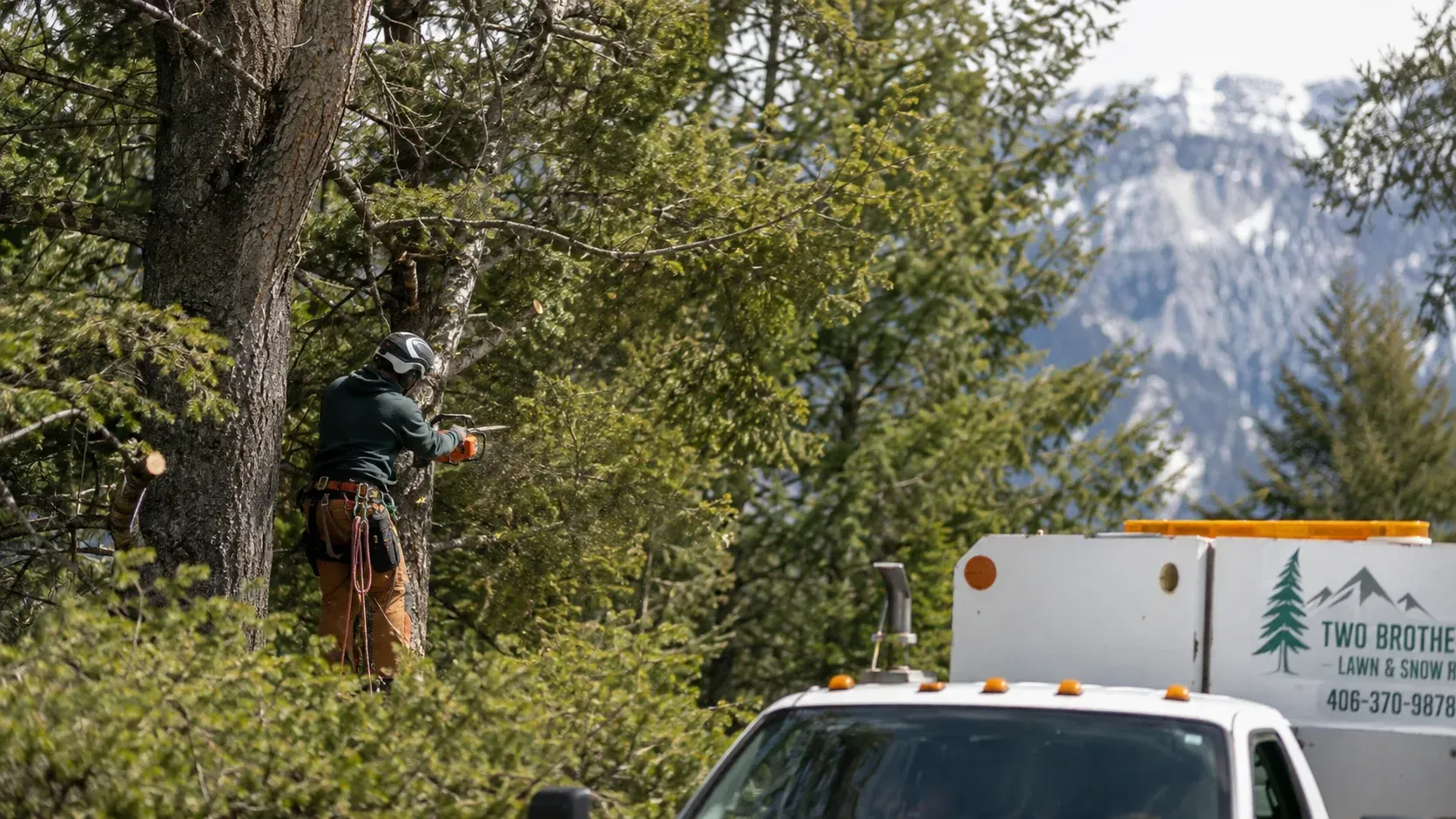Two Brothers truck showing what a professional tree service can do for your Hamilton, MT property.