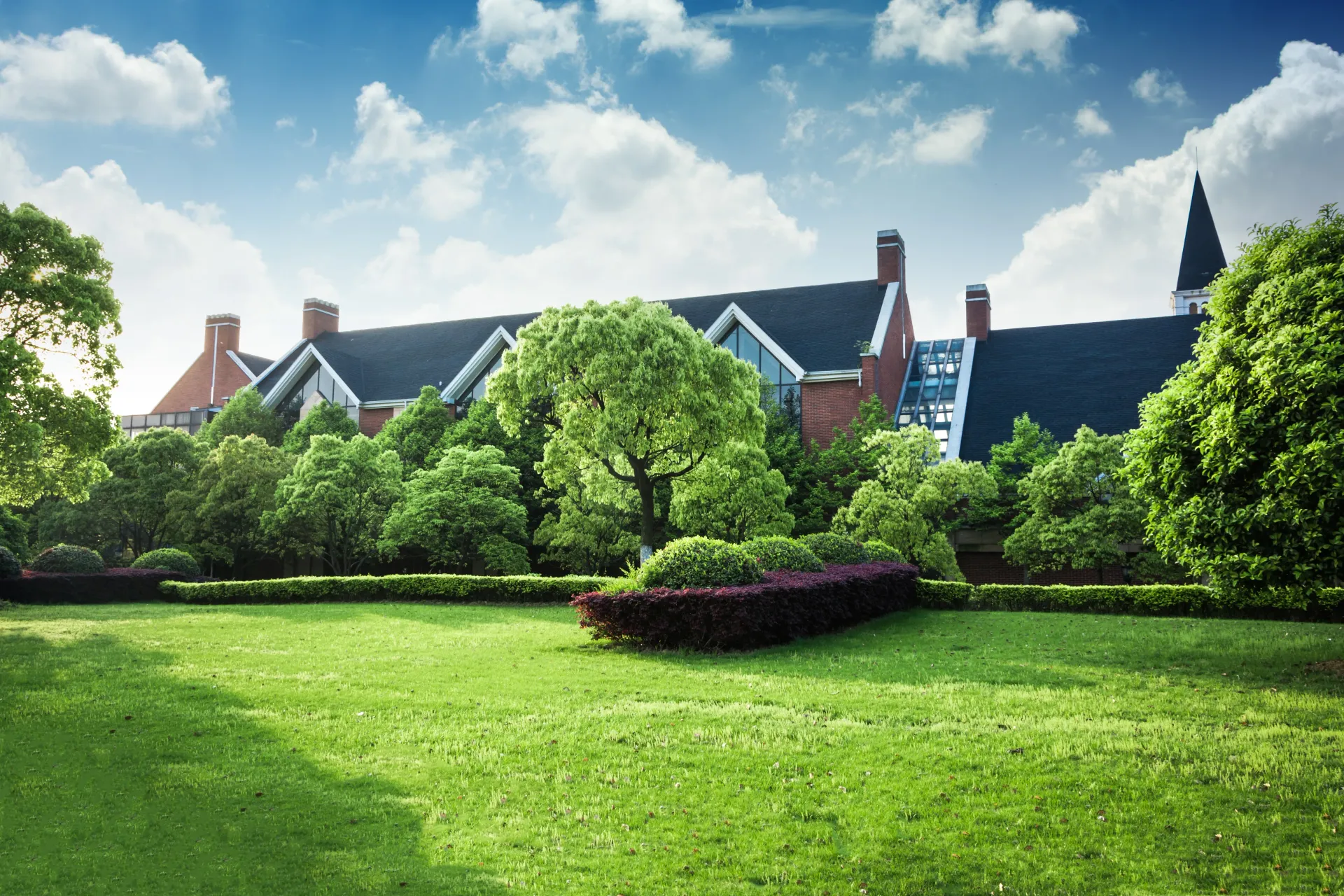 Sunny green lawn with shrubs and houses beneath a blue sky with clouds