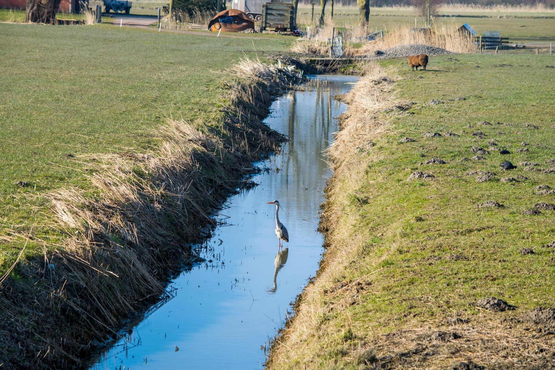 Drainage Landscape