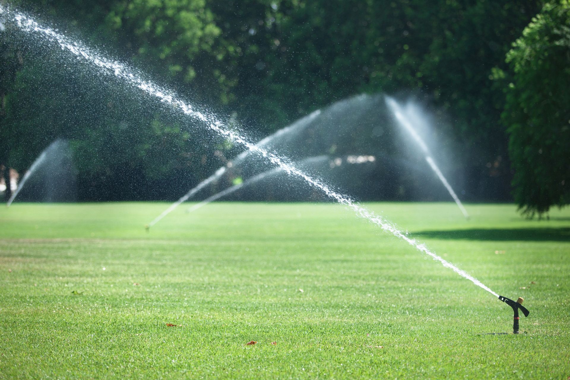 Drainage Landscape