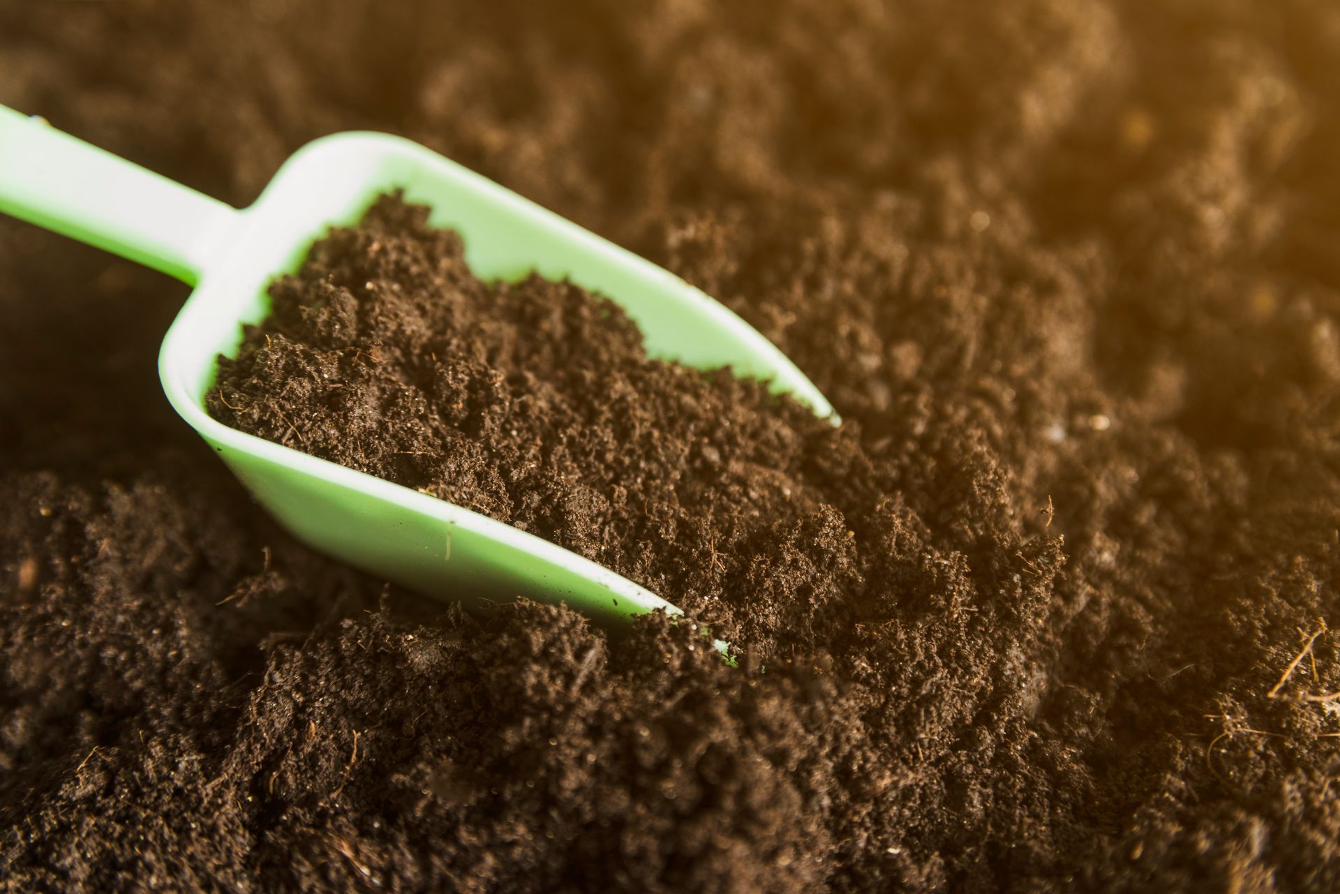 Green scoop in soil, close-up of dark potting mix being poured or dug into a pile.