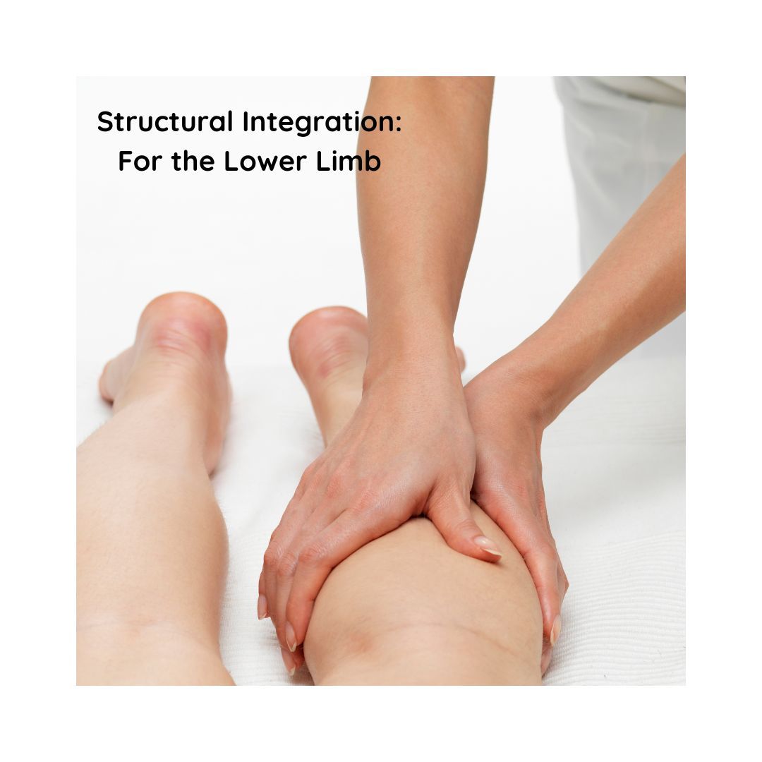 Structural Integration for the Lower Limb