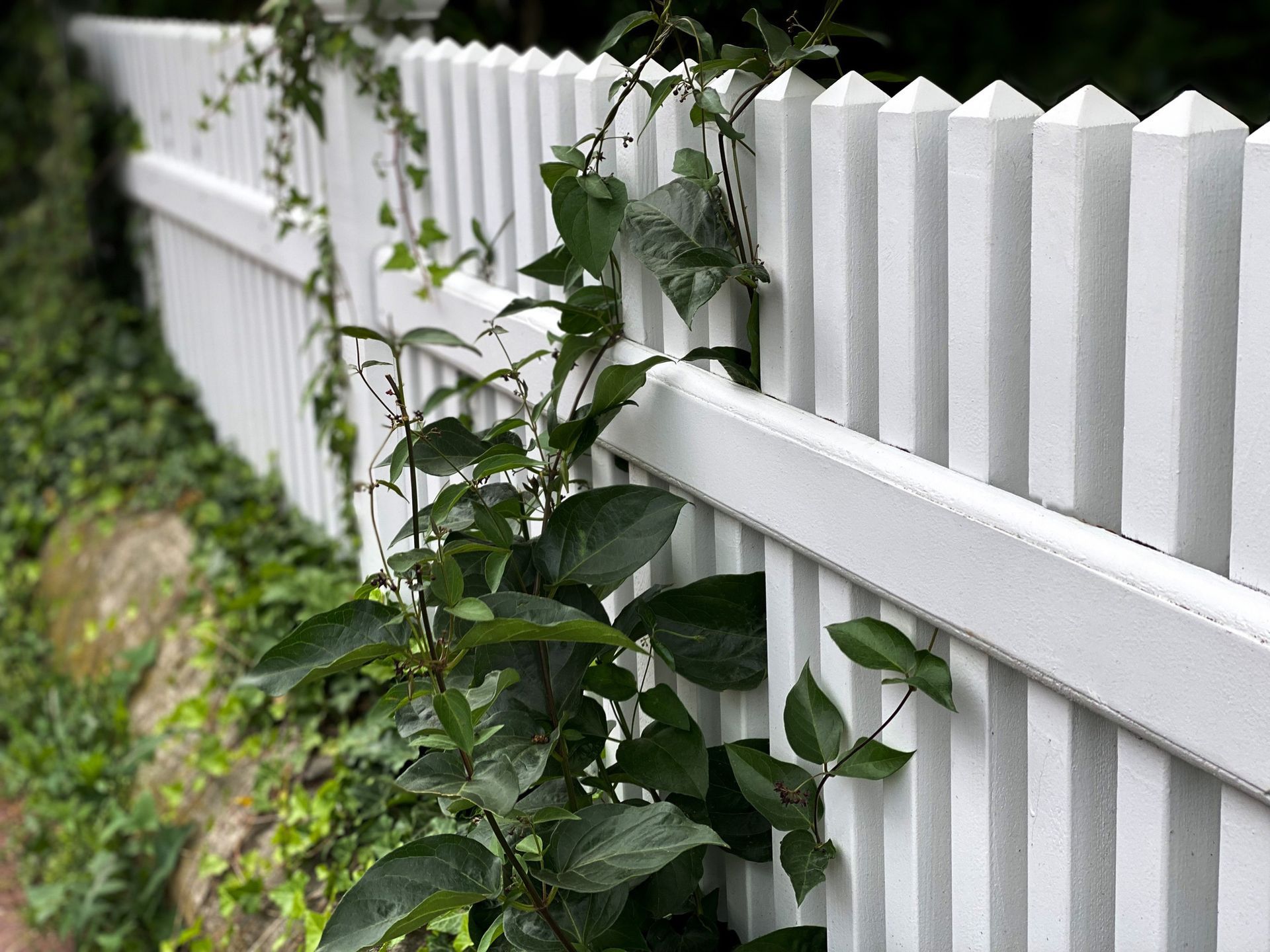 Classic Little White Picket Fence — Clifton, NJ — All Jersey Fence Co. White Fence — Clifton, NJ — All Jersey Fence Co.