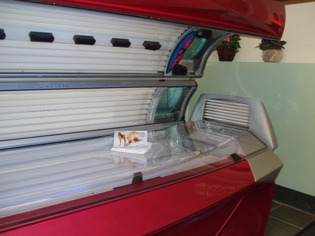 Ergoline Beds Ergoline Beds