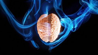 Study points to carbon monoxide in PD smoking puzzle