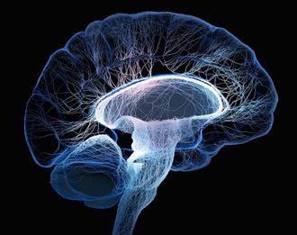 Emerging biomarkers may advance precision medicine for PSP