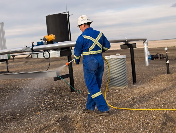 Pineview Vegetation Management