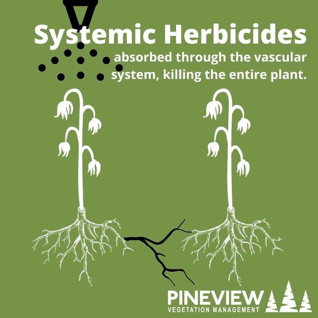 Herbicide Application