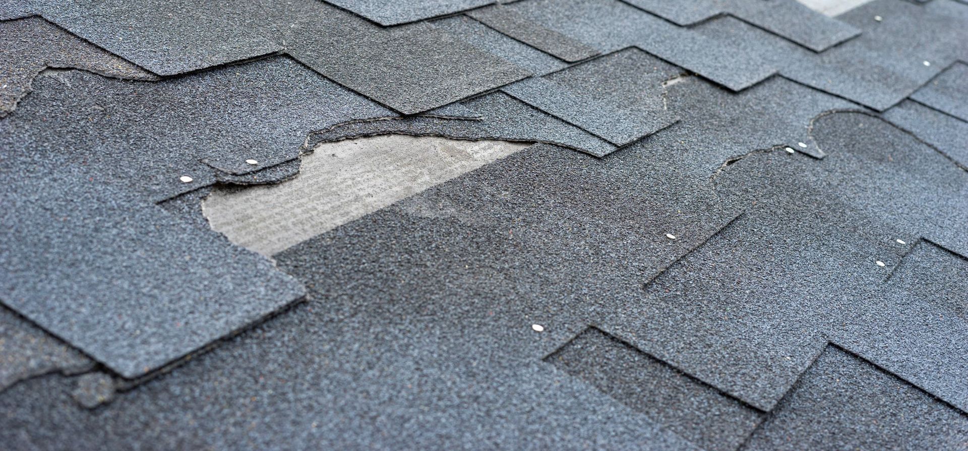 damaged roof shingles