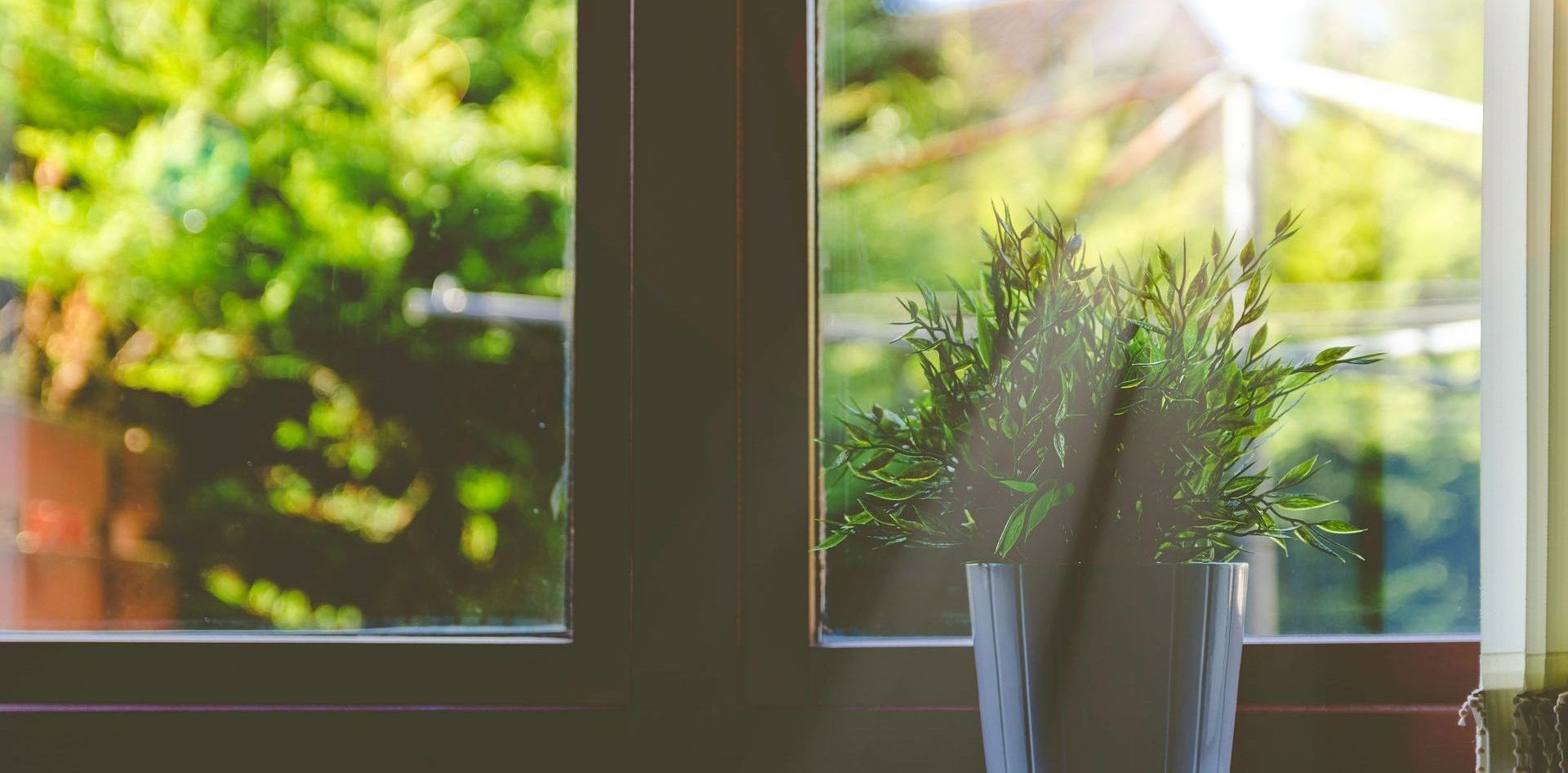 window