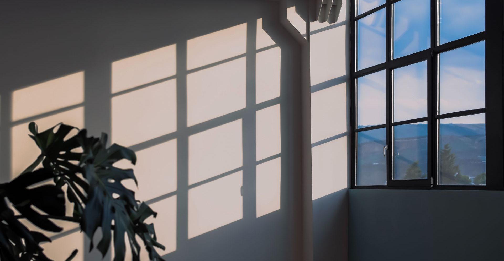 window