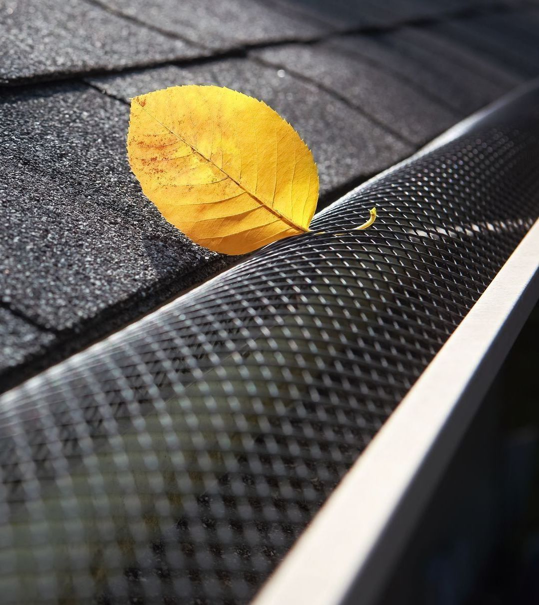gutter