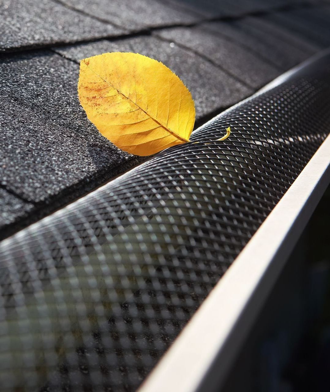 gutter