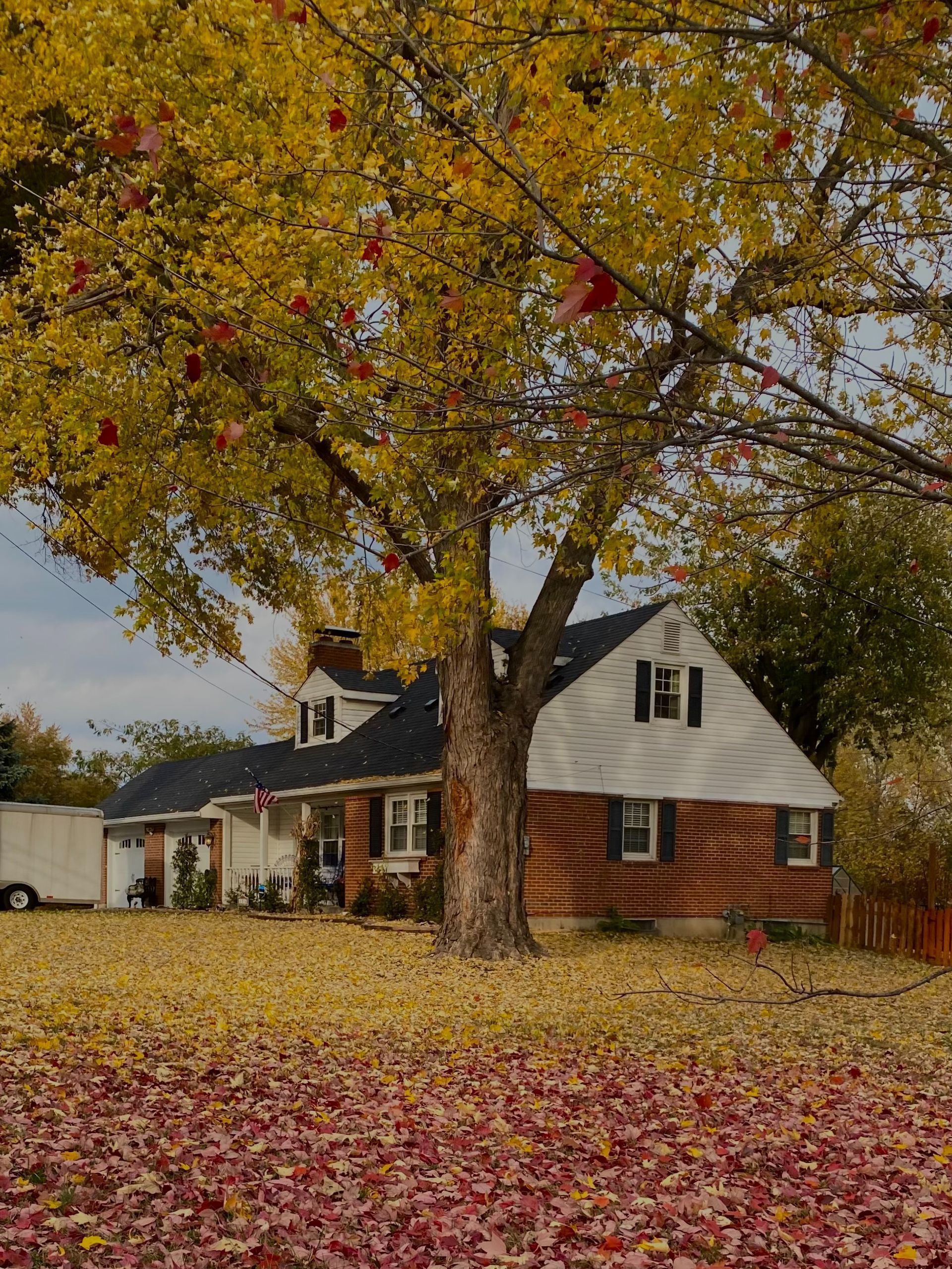house
