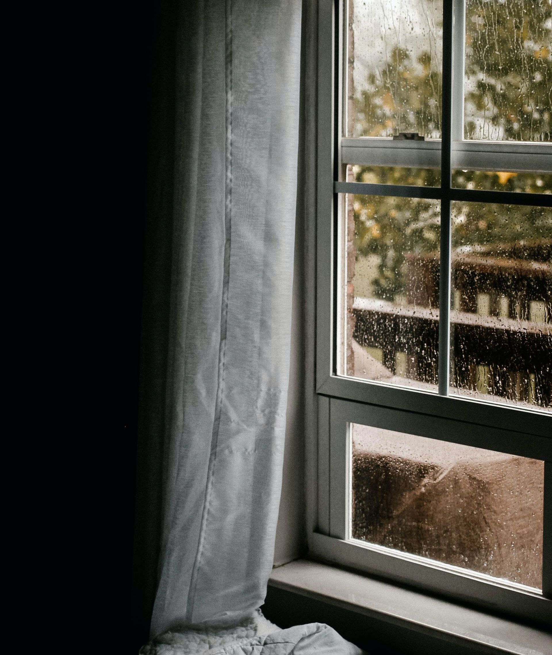 window