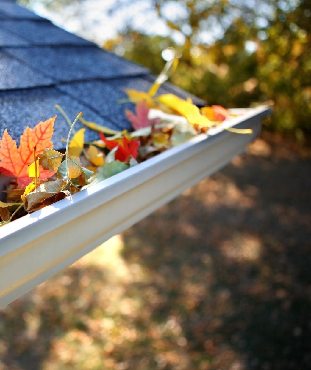 gutter