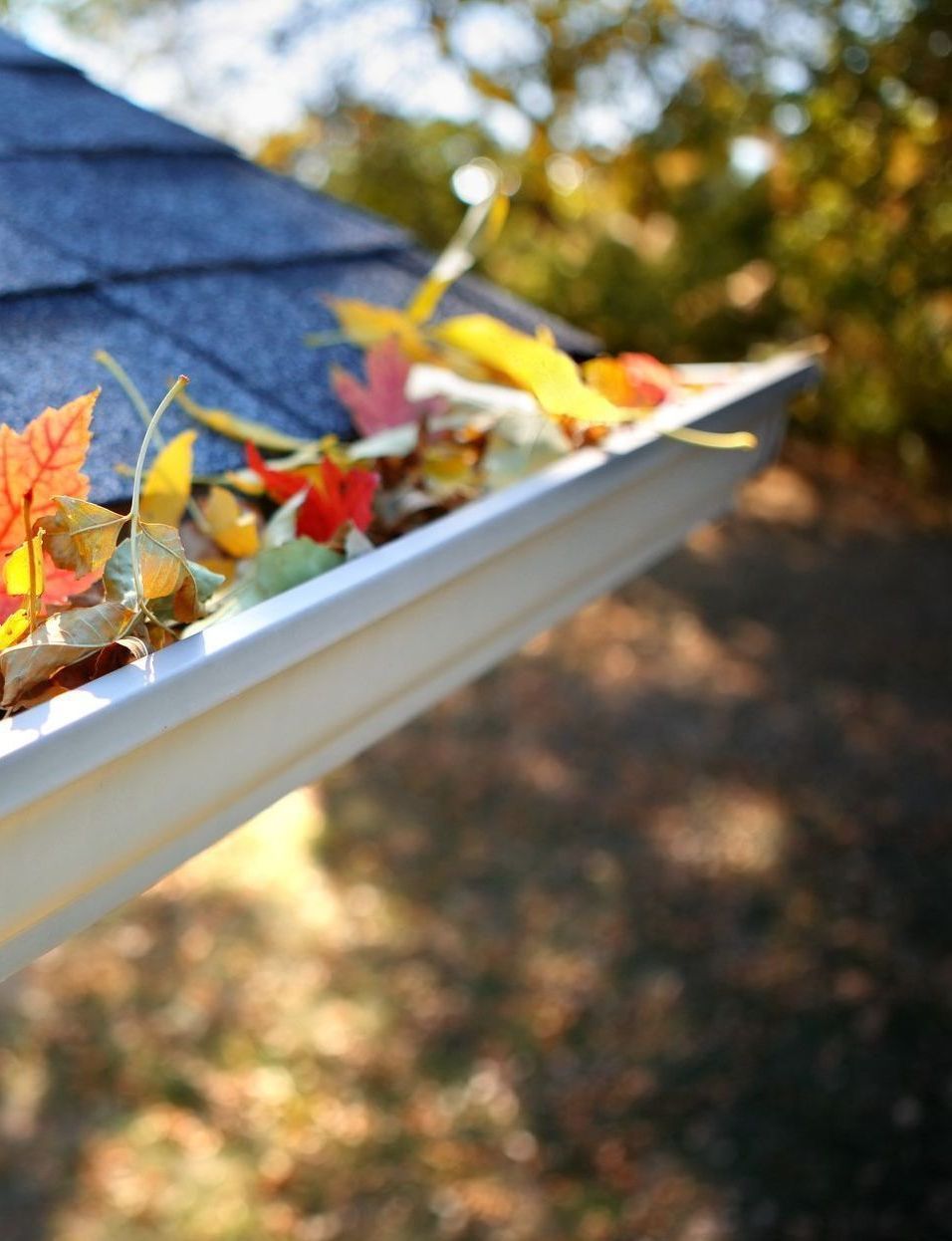 gutter