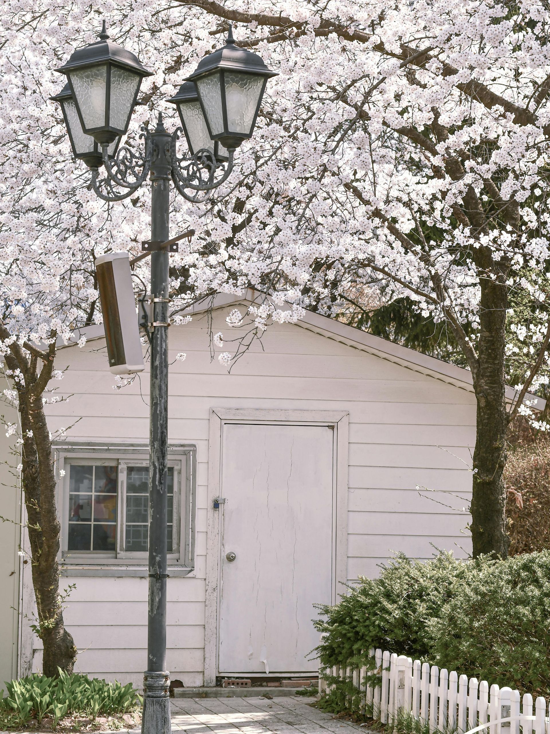 house in the spring