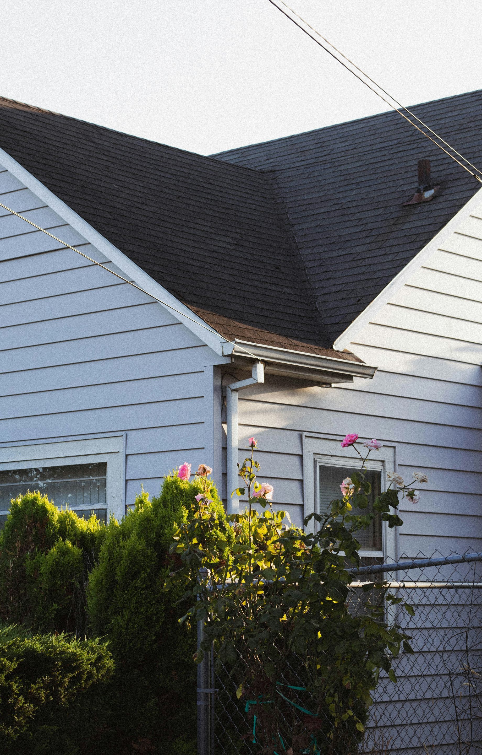 blue house and roof