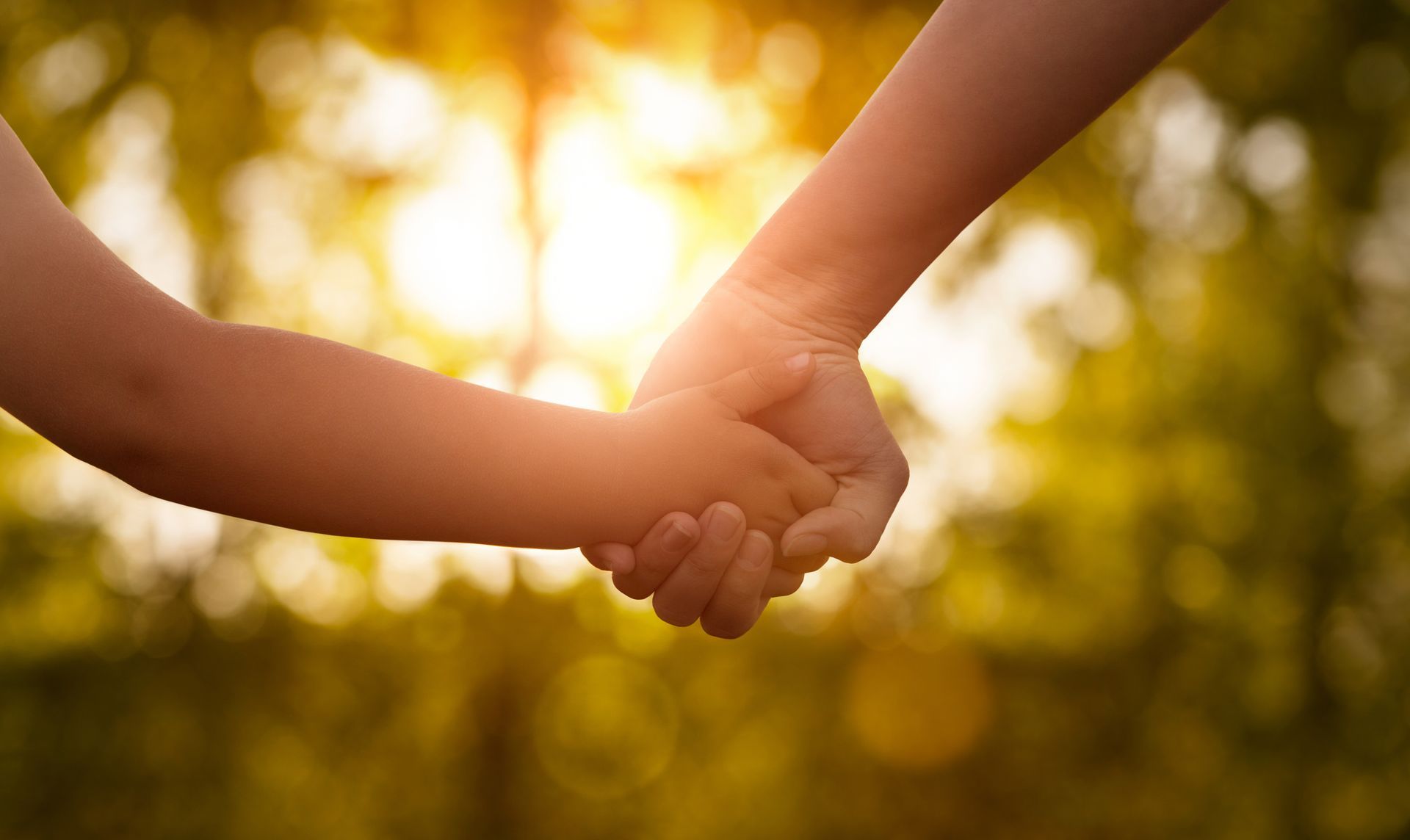 parent and child holding hands with sunlight shining through trees behind