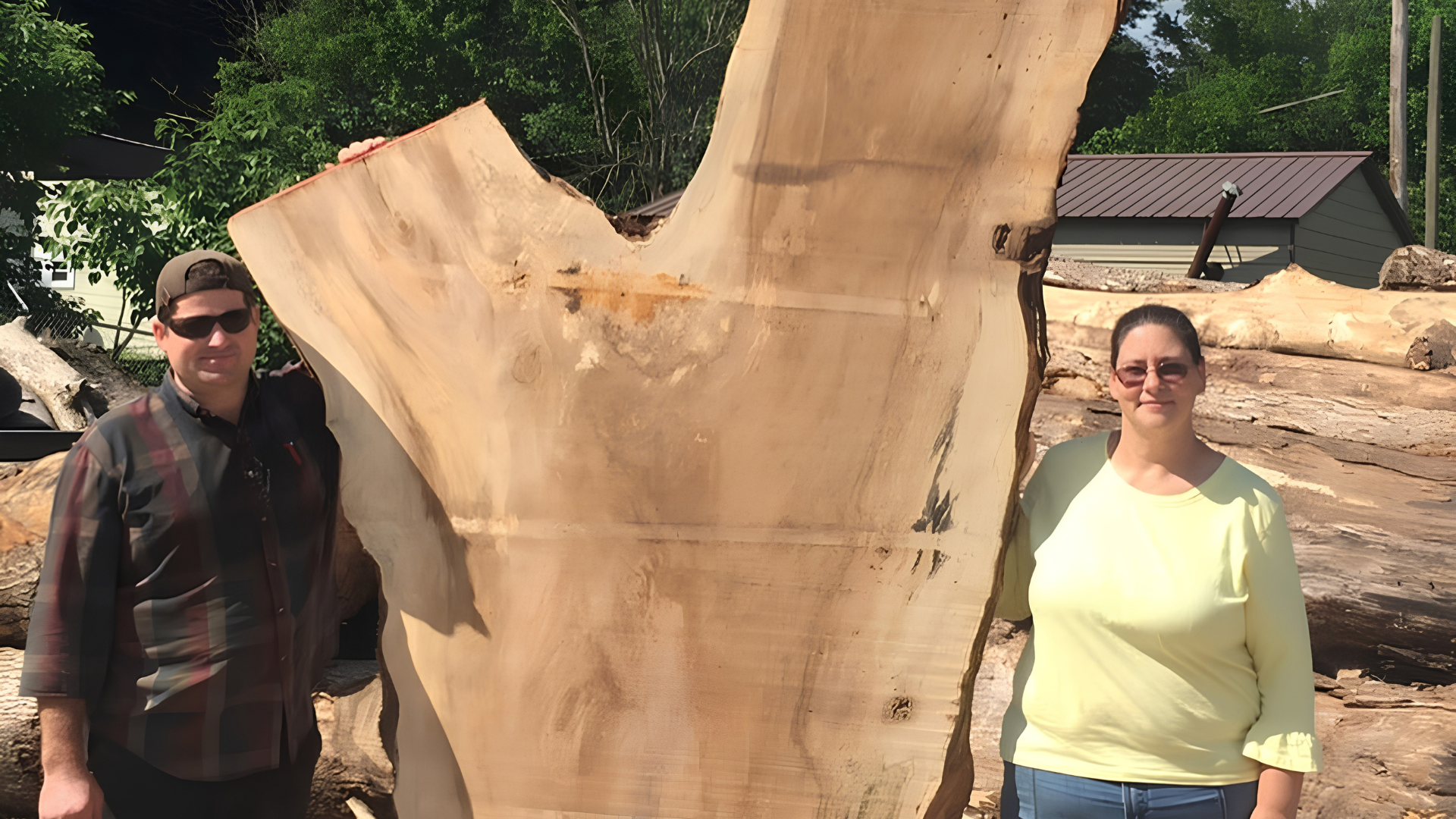 Two people standing beside a large cut tree trunk outdoors in bright sunlight
