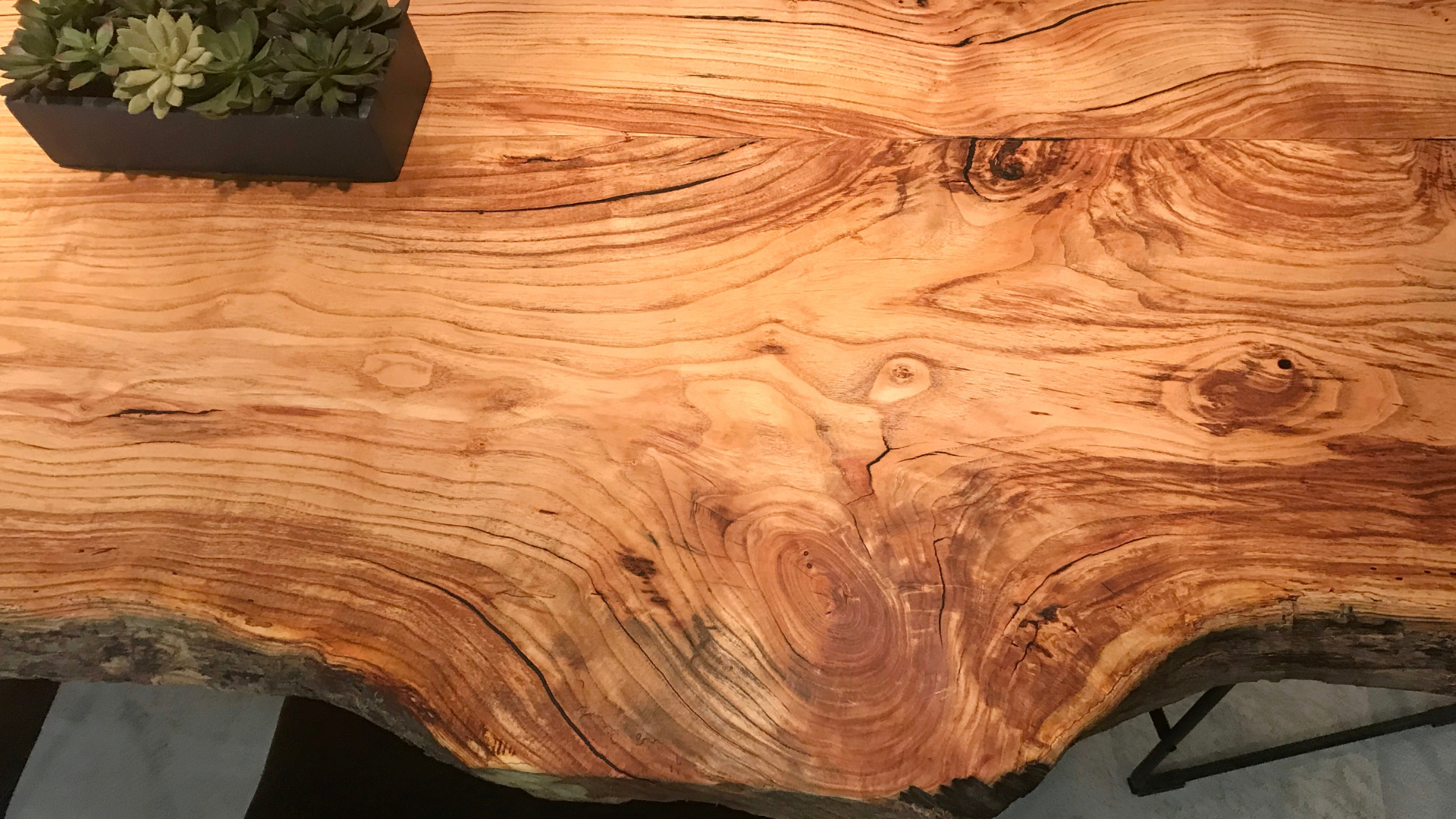 Close-up of a polished live-edge wooden tabletop with swirling grain and a small succulent planter in the corner