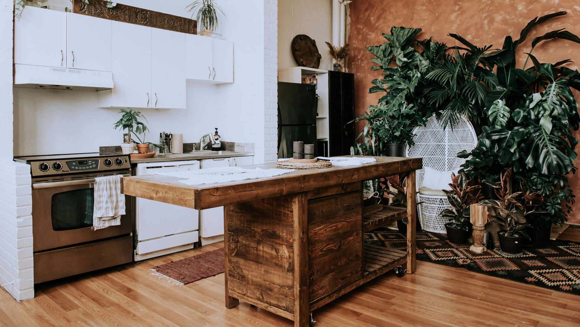 Modern kitchen with white cabinets, wooden island, stainless stove, and large potted plant by the window