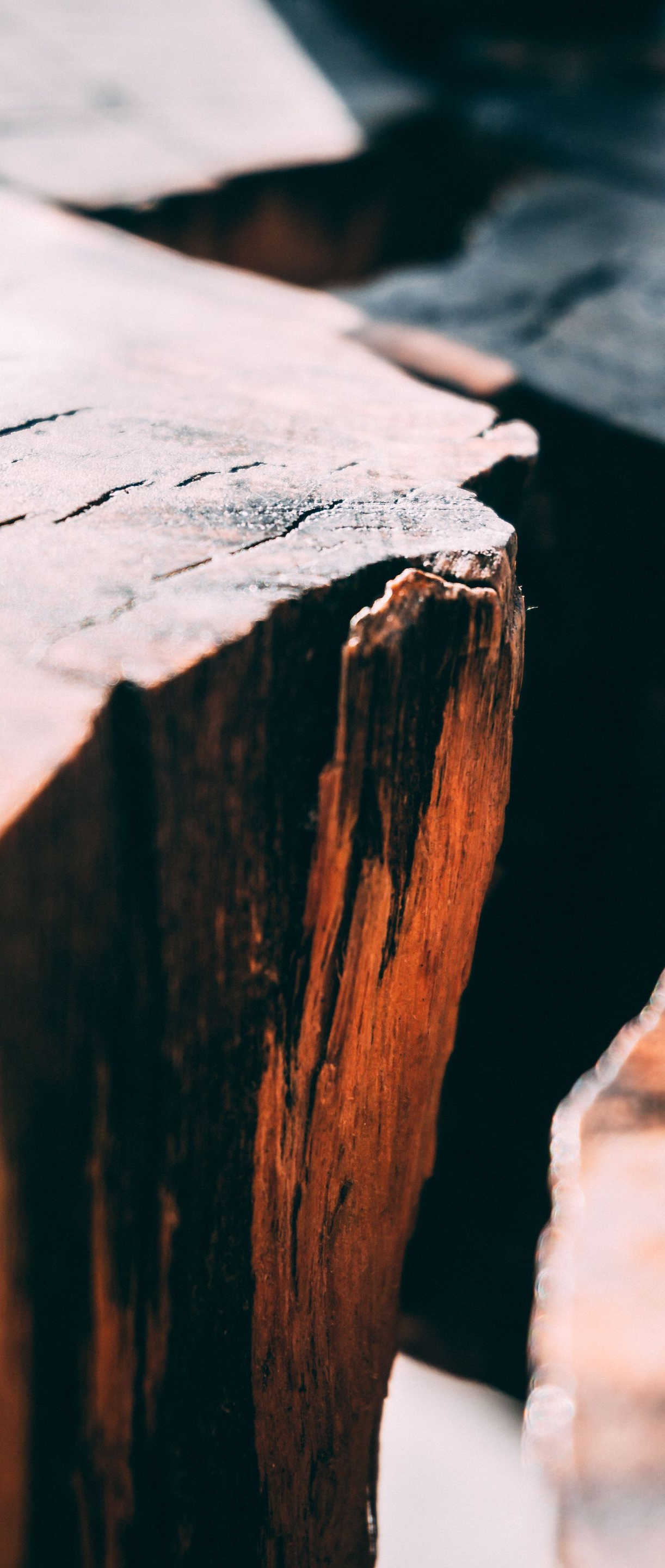 Close-up of a split wooden log with rough bark and light wood grain