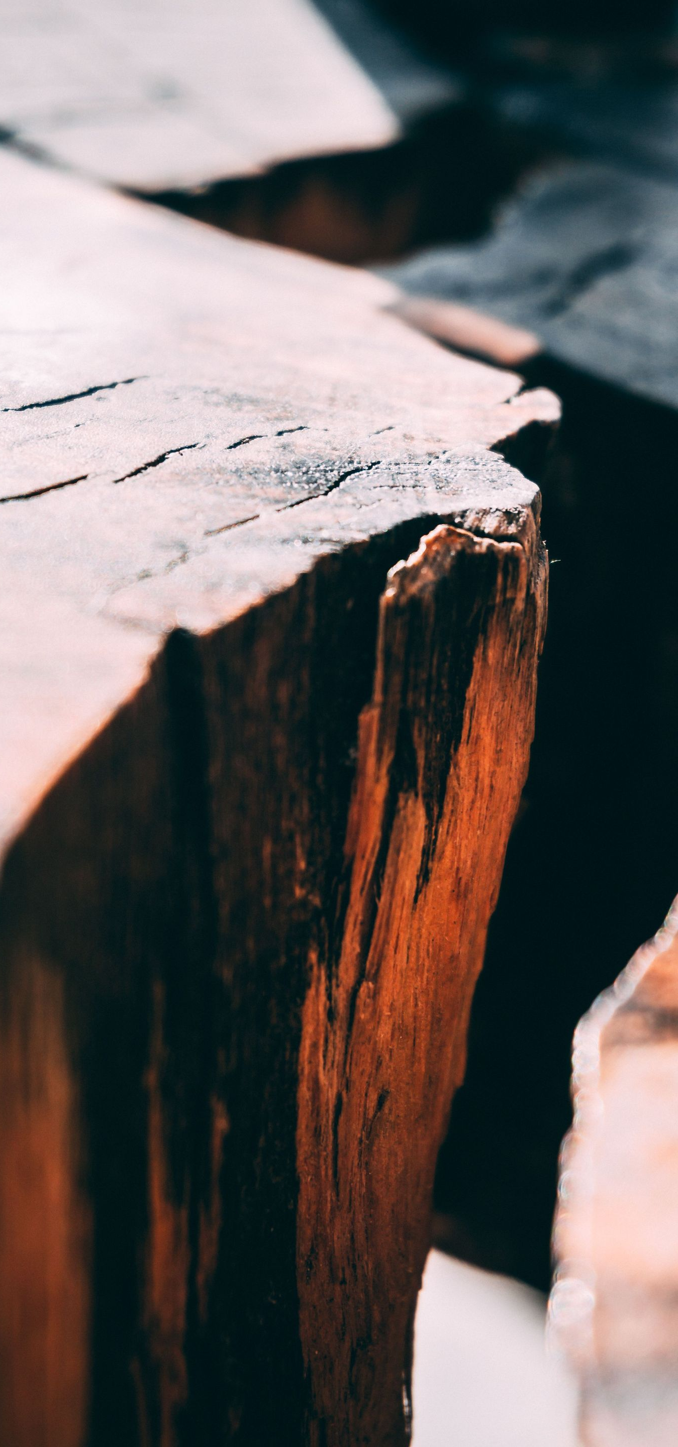 Close-up of a weathered wooden log with a pale top and dark, cracked side edge