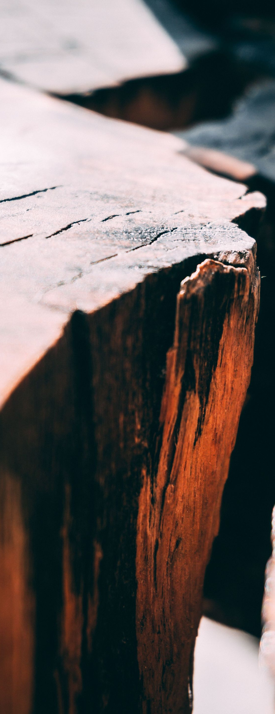 Close-up of a weathered wooden log with a pale top and dark, cracked side edge