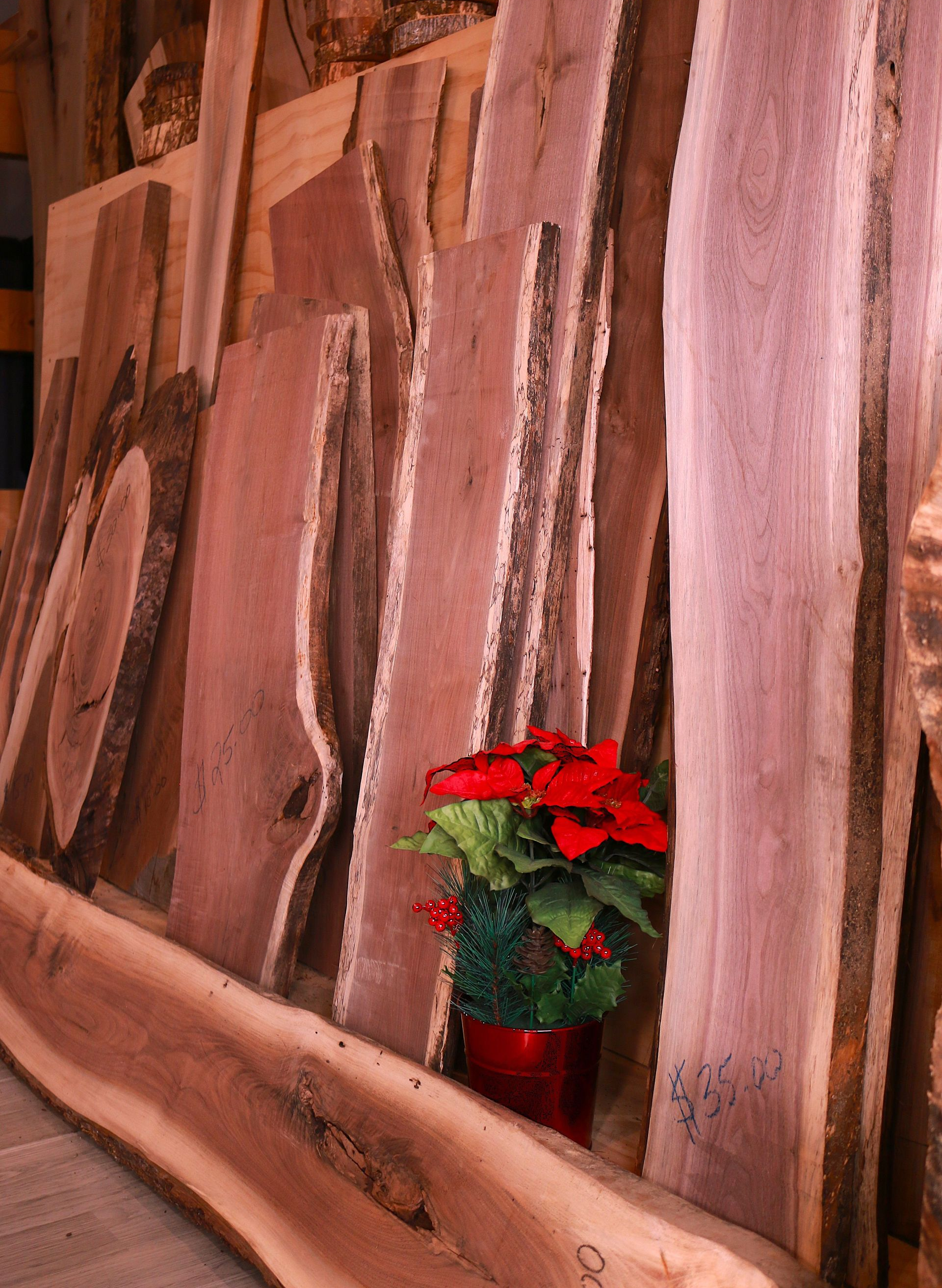Red flowers in a small pot against a rustic wooden wall
